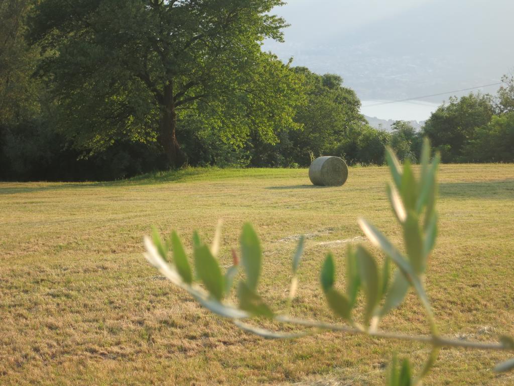 Agriturismo Deviscio Lecco Eksteriør bilde